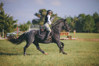 RWP_0065