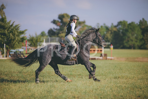 RWP_0065