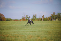 RWP_0058