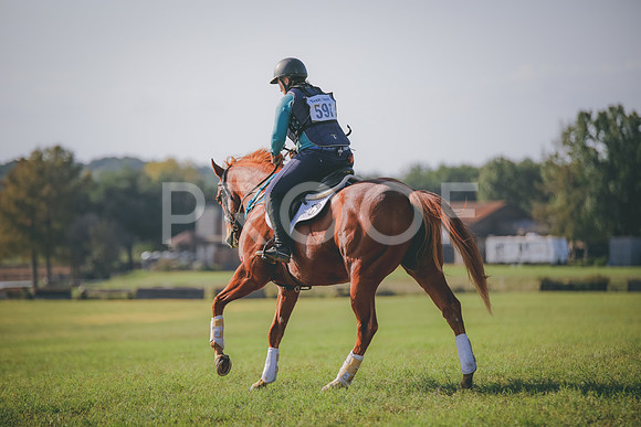 RWP_0080