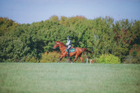 RWP_0106