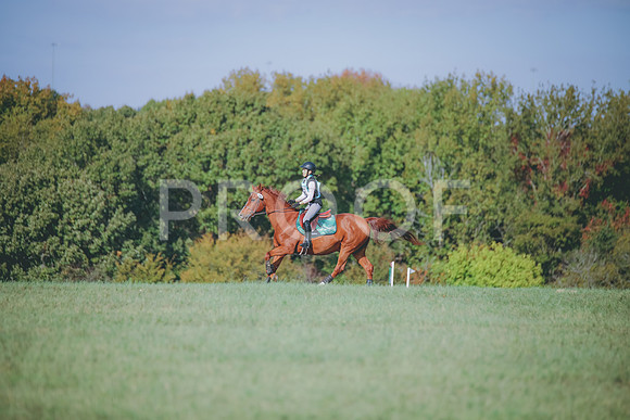 RWP_0106