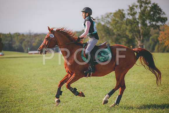 RWP_0112