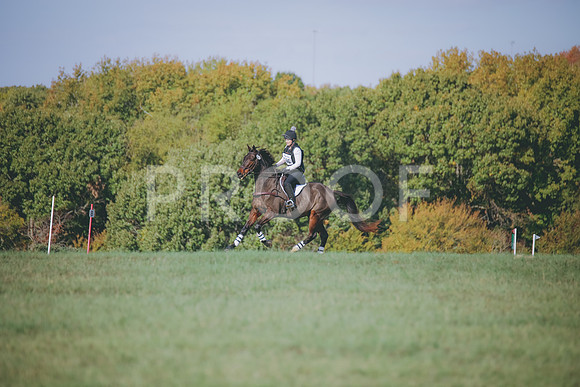 RWP_0118