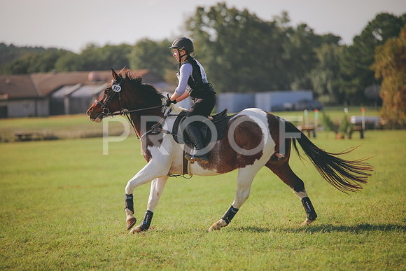 RWP_0134