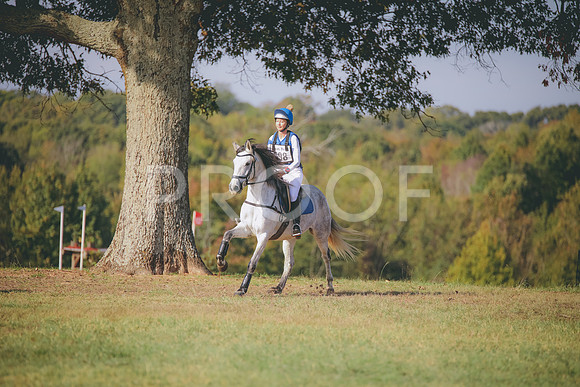 RWP_0138