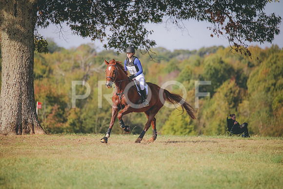RWP_0146