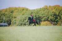 RWP_0171