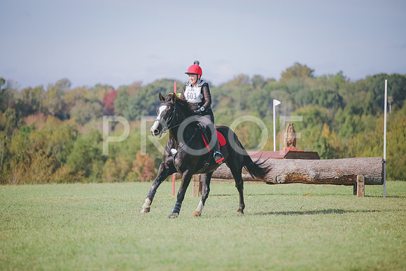 RWP_0174