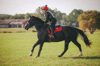 RWP_0178