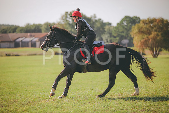 RWP_0178
