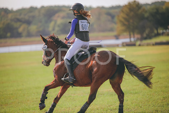 RWP_0193