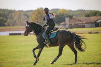 RWP_0203
