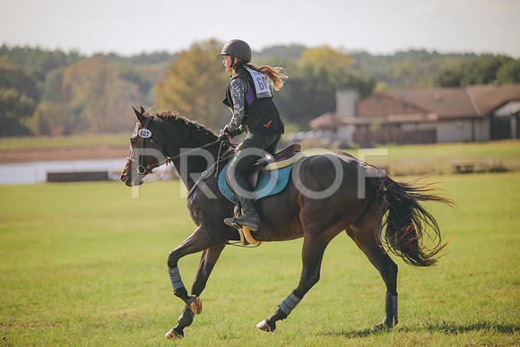 RWP_0203