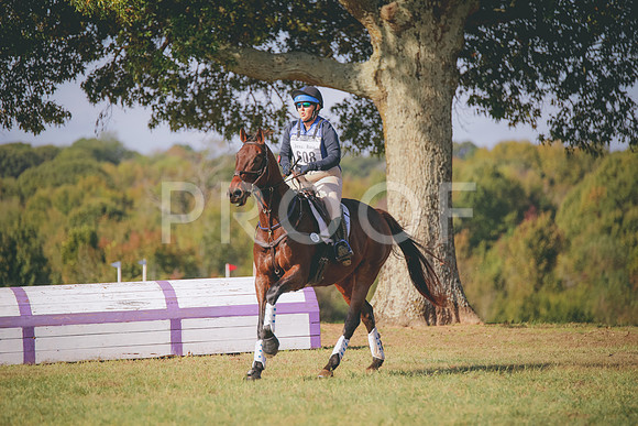 RWP_0208