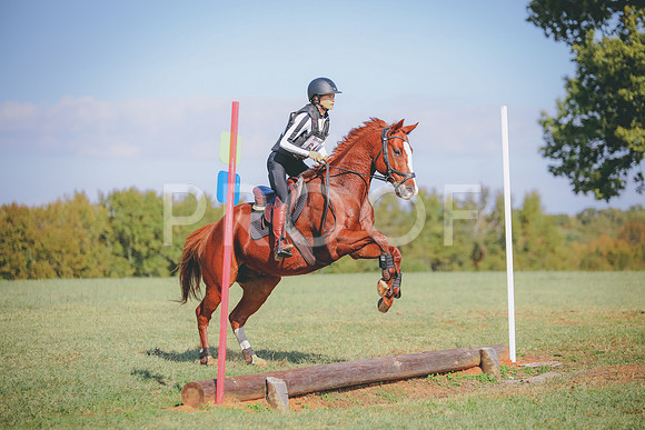 RWP_0216
