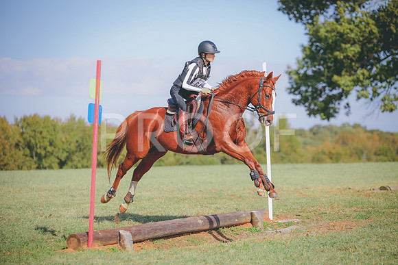 RWP_0217