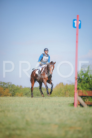 RWP_0224