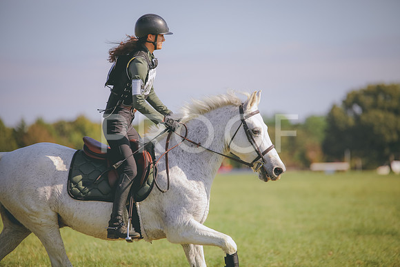 RWP_0238