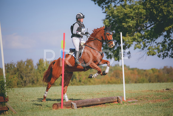 RWP_0242