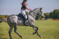 RWP_0267