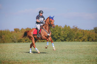 RWP_0270