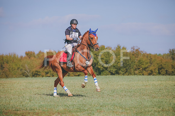 RWP_0270