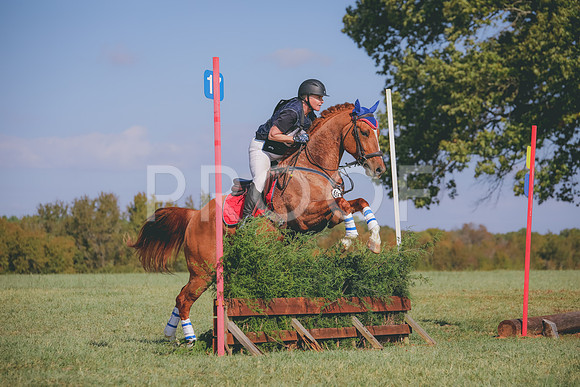 RWP_0271