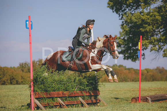 RWP_0288