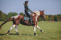RWP_0293