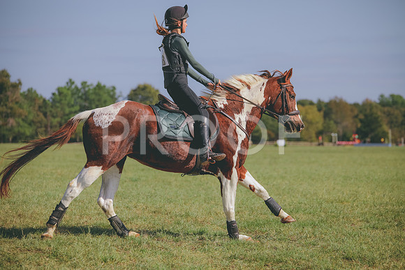 RWP_0293