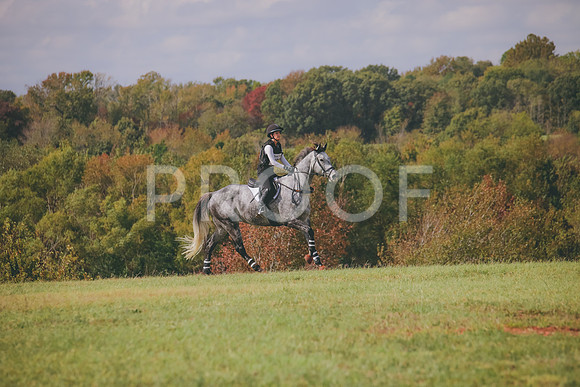 RWP_0298