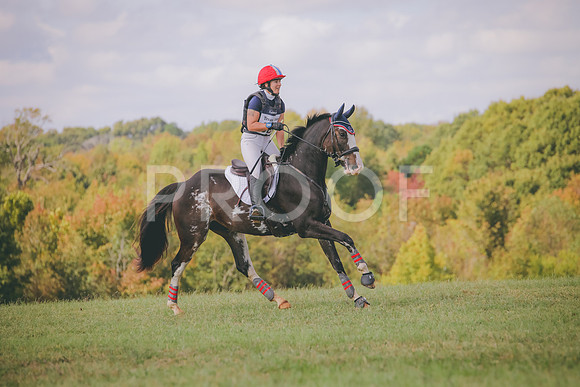 RWP_0307