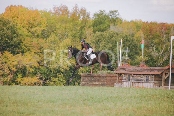 RWP_0313