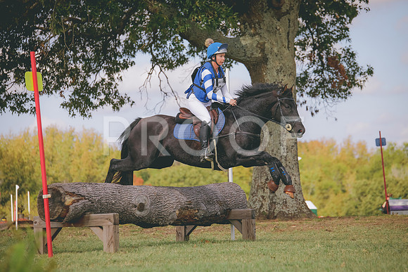 RWP_0325