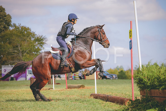 RWP_0339