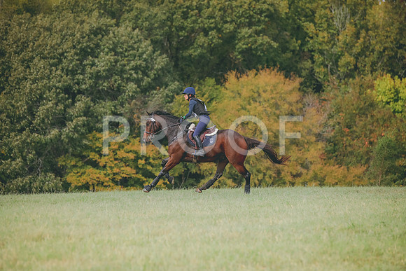 RWP_0333