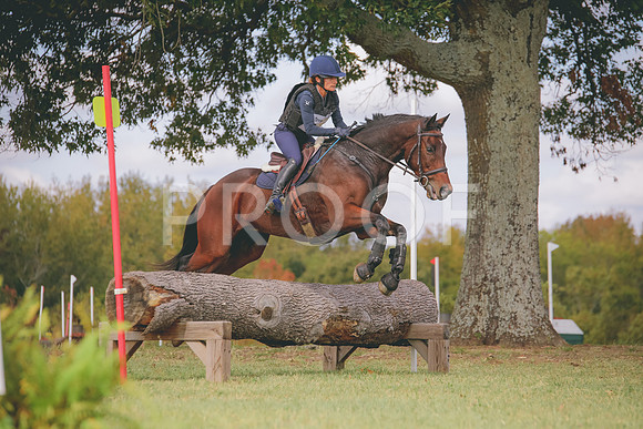 RWP_0337