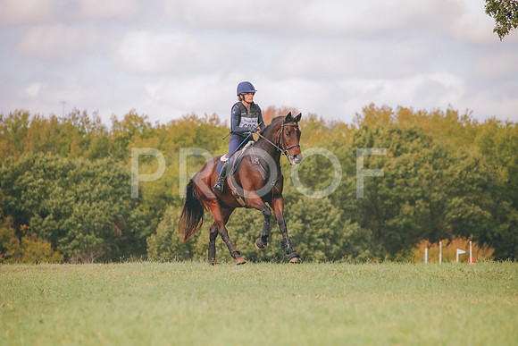 RWP_0335