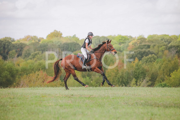 RWP_0349