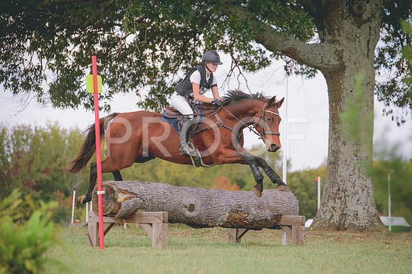 RWP_0352