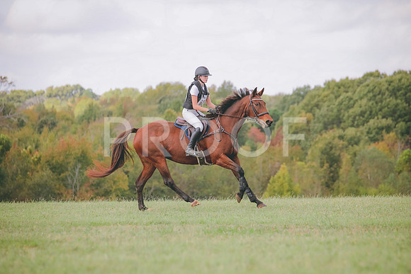RWP_0350