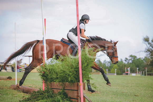 RWP_0356