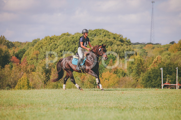 RWP_0374