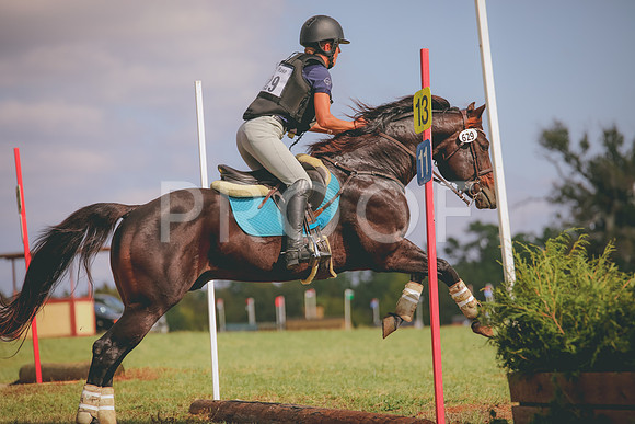 RWP_0378