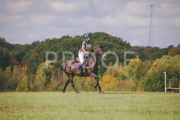 RWP_0386