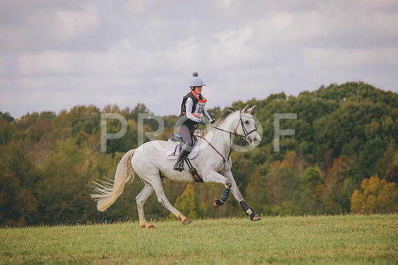 RWP_0401