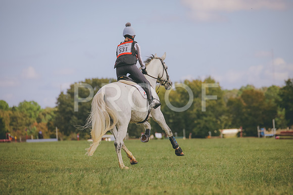 RWP_0409