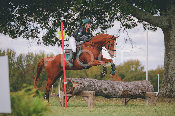 RWP_0431