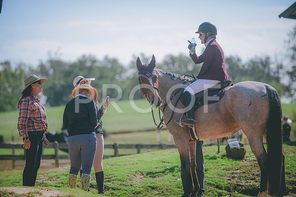 NIKON D4 (5389)